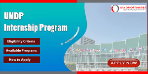 UNDP Security Training Analyst Internship in Sudan for International Students