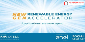 IRENA NewGen Renewable Energy Accelerator – Cohort 2025