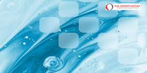 New Commons Challenge 2025 for Global Changemakers ($100,000 in funding)