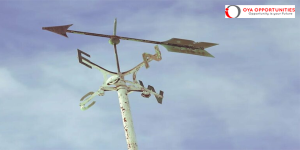 Heinrich Böll Foundation Thessaloniki Green Foreign Policy Fellowship 2025/2026 (Funded)