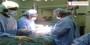 WFSA Paediatric Anaesthesia Fellowships 2025