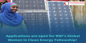 RMI Global Women in Clean Energy Fellowship 2025