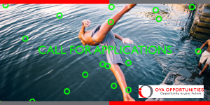 Global Women in Clean Energy Fellowship 2025 by RMI’s Energy Transition Academy