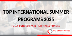 Google EMEA Legal Summer Institute 2025: Internship Opportunity for Law Students