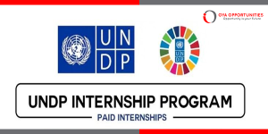 UNDP Internship Opportunity in Tashkent: Project Analyst on Public Service Delivery Legislation