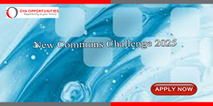 New Commons Challenge 2025 | Win $100,000