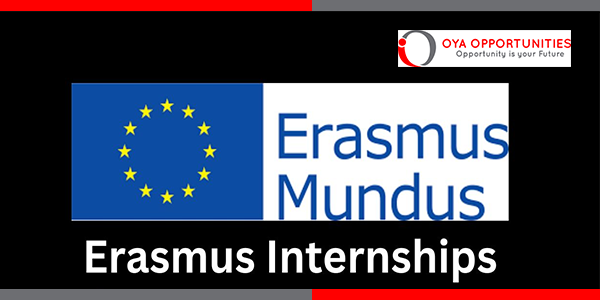 Erasmus Mundus Internships 2025 in Europe | International Internships