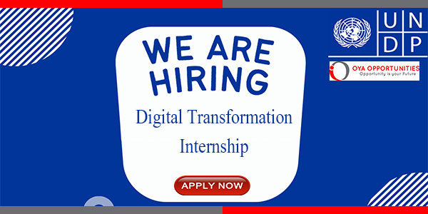 UNDP Digital Transformation Internship 2025