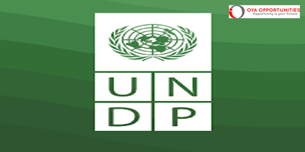 UNDP Disaster Risk Reduction and Resilience Specialist || Apply Now |