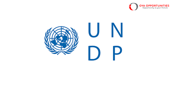UNDP Small Grants Programme (SGP) National Coordinator || Apply Now |