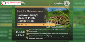 Cassava Changemakers Pitch Competition 2025 (up to N5 million in prizes)