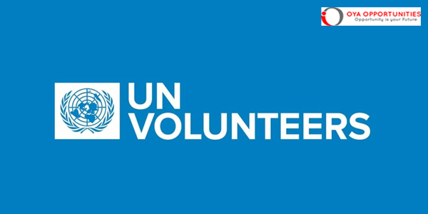 UNV Intern-Information and Communication Technology Section (ICTS)