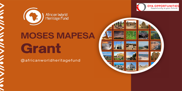AWHF Moses Mapesa Education and Research Grant 2025 (up to $5,000)
