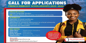 Embassy of France in Uganda Masters Scholarships in France 2025/2026