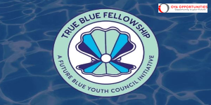 BowSeat True Blue Fellowship 2025 (up to $2,500)