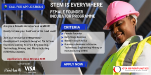WomHub Africa STEM is Everywhere Female Founder Incubator 2025