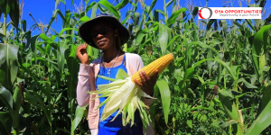 UN FAO HASTEN Business Incubation Programme 2025 for Youth-led Enterprises in Lesotho, Rwanda & Sierra Leone