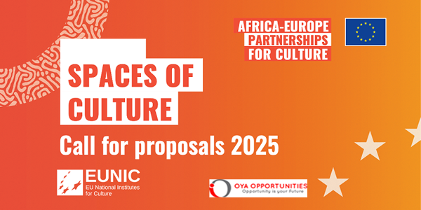 EUNIC Spaces of Culture 2025 – Call for Proposals (Up to EUR 50,000)