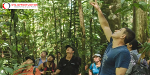 International Tropical Timber Organisation (ITTO) Fellowship Programme 2025 (up to $10,000)