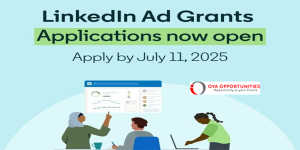 LinkedIn Ad Grants Program 2025 for Non-profits