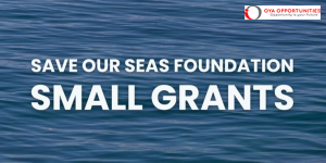 Save Our Seas Foundation (SOSF) Small Grants 2025 (up to $5,000)