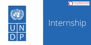 UNDP Transport Legal Analyst || Apply Now |
