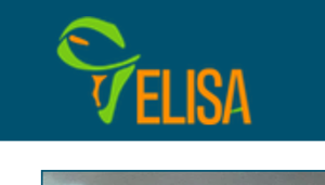 ELISA Business Scholars Program 2025