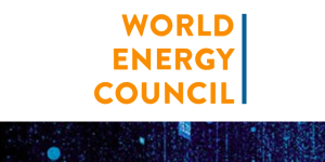 Future Energy Leaders Programme 2026 – Global Opportunity for Young Energy Professionals