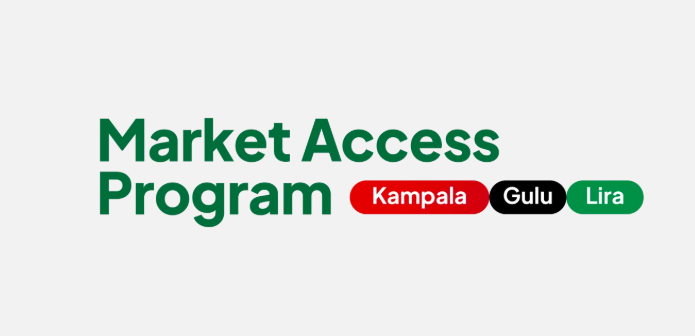 StartHub Africa Market Access Program 2026