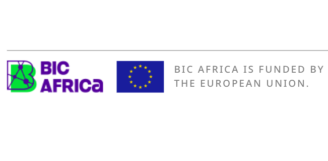 BIC Africa Online Training Programme 2026 for Women Entrepreneurs in Tanzania