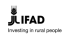 IFAD Internship Programme 2026 – Paid UN Internship for Students & Graduates