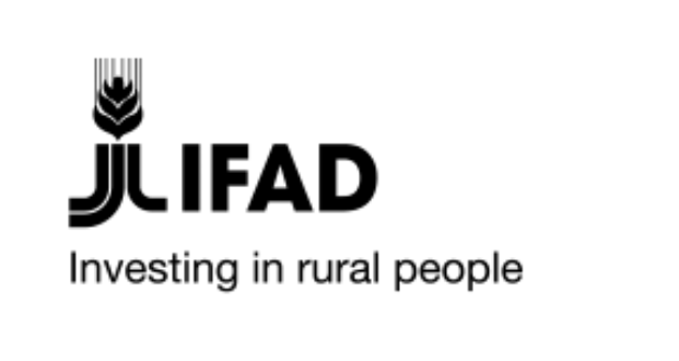 IFAD Internship Programme 2026 – Paid UN Internship for Students & Graduates