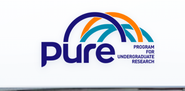 Sabancı University PURE Program: Undergraduate Research Opportunity in Turkey (Full Guide)